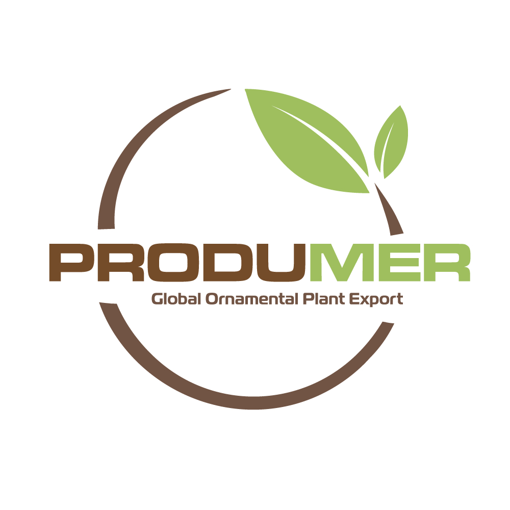 PRODUMER