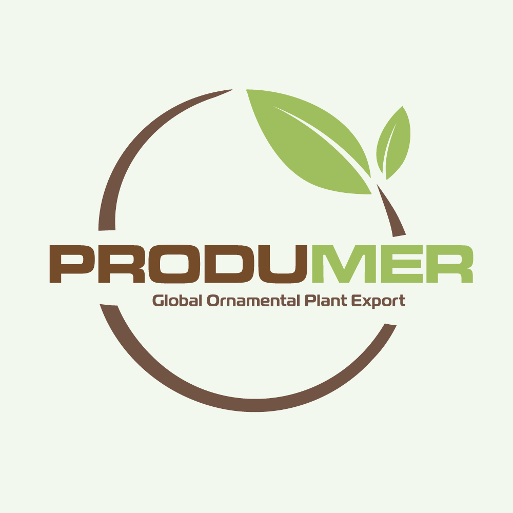 PRODUMER